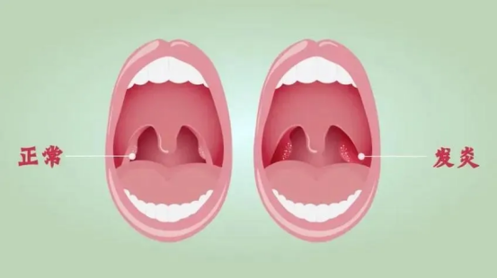 6389001170936062817583533