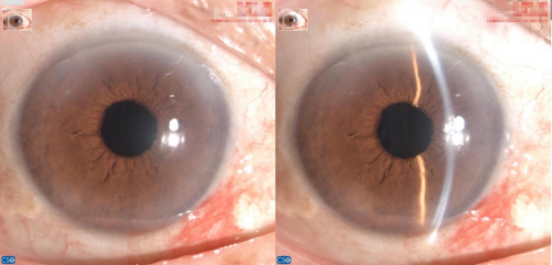 6971868fbf3ba 6971868fbf3ba